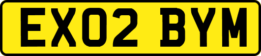 EX02BYM
