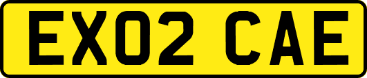 EX02CAE