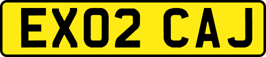 EX02CAJ