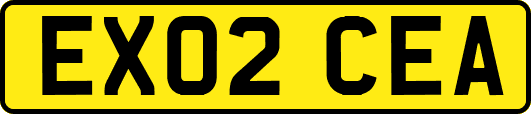 EX02CEA