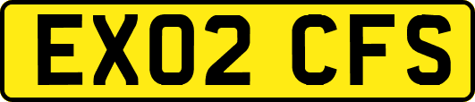 EX02CFS