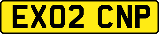 EX02CNP