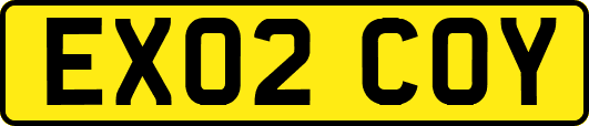 EX02COY