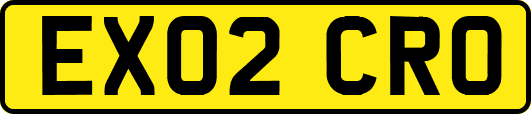 EX02CRO