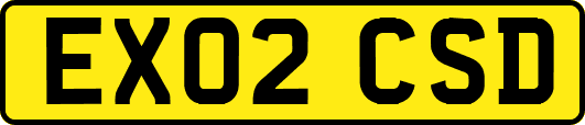 EX02CSD
