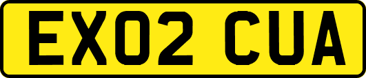 EX02CUA