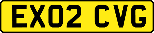 EX02CVG