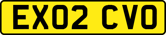 EX02CVO