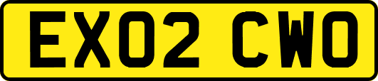 EX02CWO