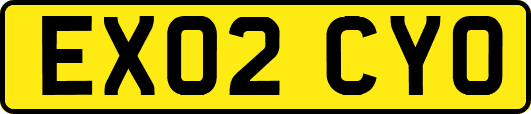 EX02CYO