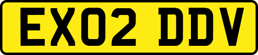 EX02DDV