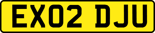 EX02DJU