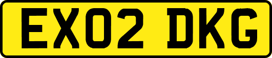 EX02DKG