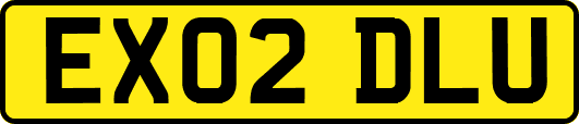 EX02DLU