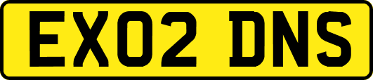 EX02DNS