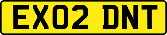 EX02DNT