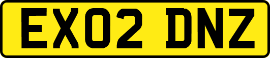 EX02DNZ