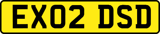EX02DSD