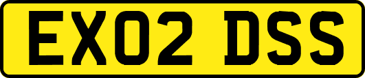 EX02DSS
