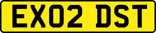 EX02DST