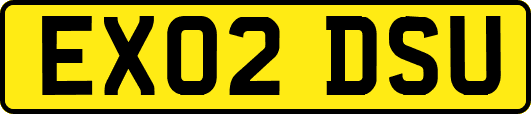 EX02DSU