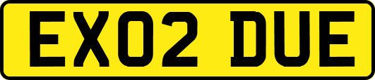 EX02DUE