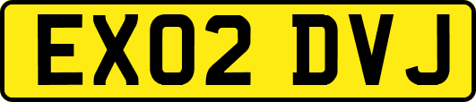 EX02DVJ