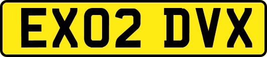 EX02DVX
