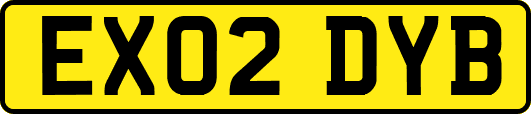 EX02DYB