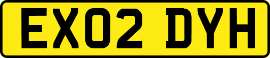 EX02DYH