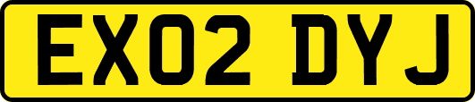 EX02DYJ