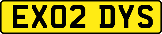 EX02DYS