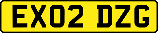 EX02DZG