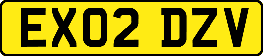 EX02DZV