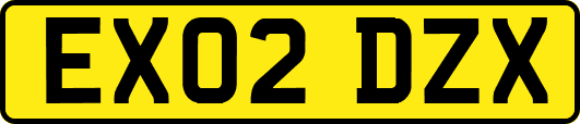 EX02DZX