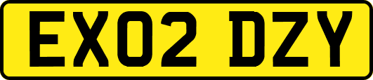 EX02DZY