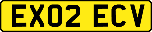 EX02ECV