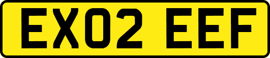 EX02EEF