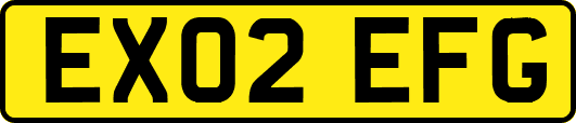 EX02EFG