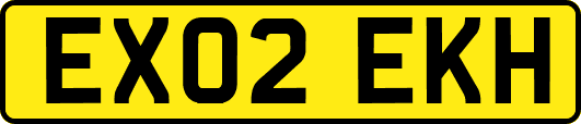 EX02EKH