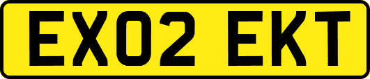 EX02EKT