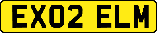 EX02ELM