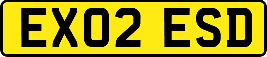 EX02ESD