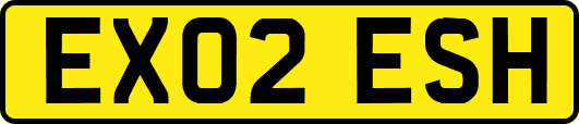 EX02ESH