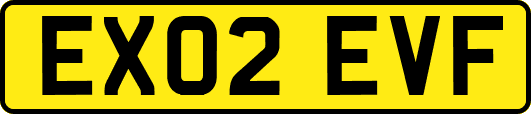 EX02EVF