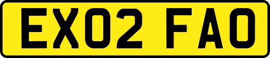 EX02FAO