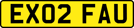 EX02FAU