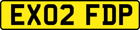 EX02FDP