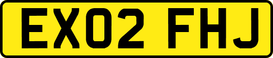 EX02FHJ