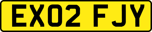 EX02FJY